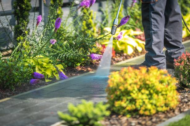Best Winterizing Services  in Comfort, TX